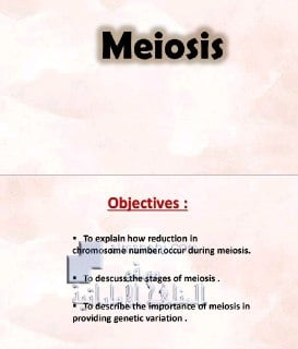 مراجعة وحدة MEIOSIS, (علوم) التاسع المتقدم