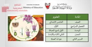 عرض بوربوينت لدرس دورات الحياة