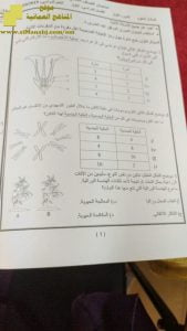 أسئلة الامتحان الرسمي الدور الأول (أحياء) التاسع