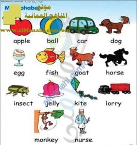 قاموس كلمة وصورة (جزء 1) (لغة انجليزية) حلقة أولى