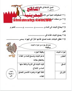 مذكرة تدريبات واختبارات شاملة لجميع المواد 1 (الامتحانات) الثاني