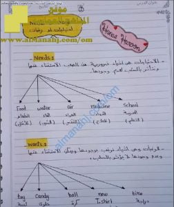 مذكرة مفردات وقواعد مع ترجمتها (لغة انجليزية) الأول