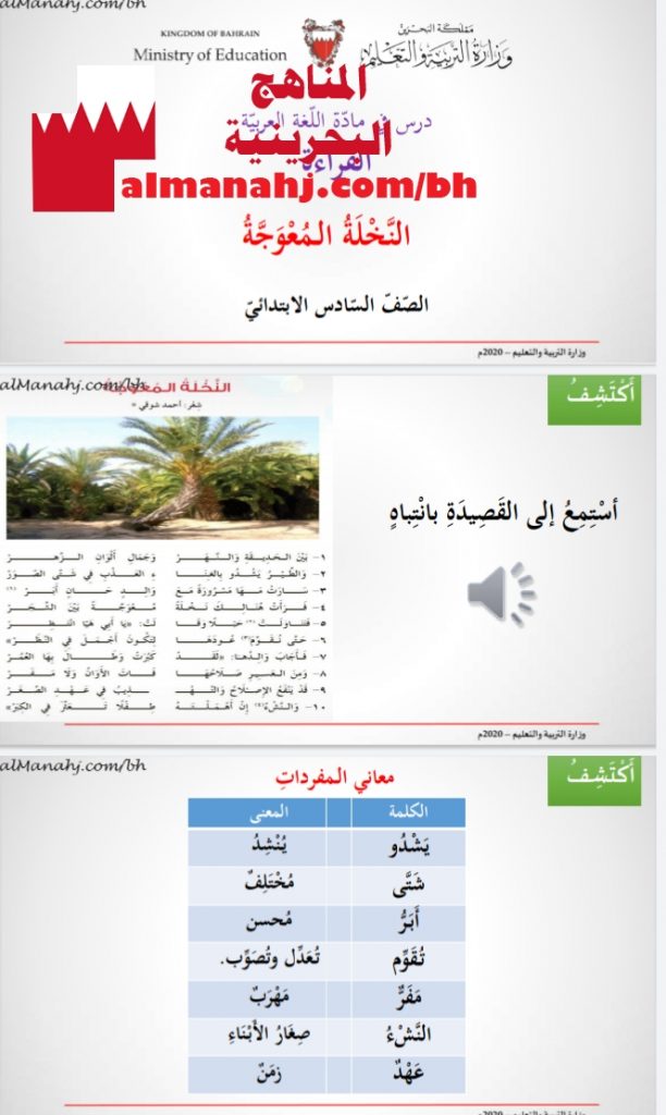 درس النخلة المعوجة
