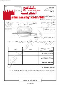 ورقة عمل الحمض النووي الريبوزي RNA (علوم) التاسع