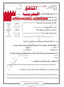 ورقة عمل انقسام الخلية – المنصف (علوم) التاسع