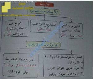 أوراق عمل تشرح درس تصريف المثال والأجوف مع الضمائر (لغة عربية) الثامن
