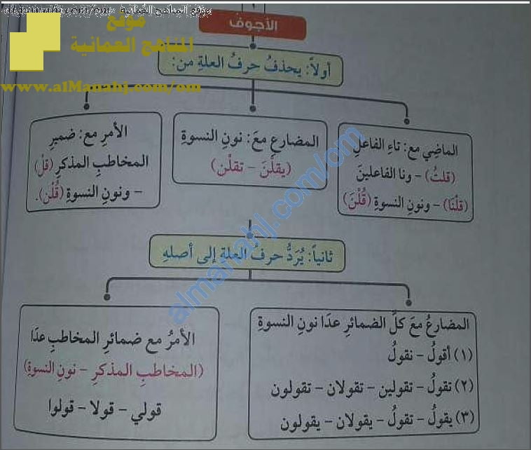 أوراق عمل تشرح درس تصريف المثال والأجوف مع الضمائر (لغة عربية) الثامن