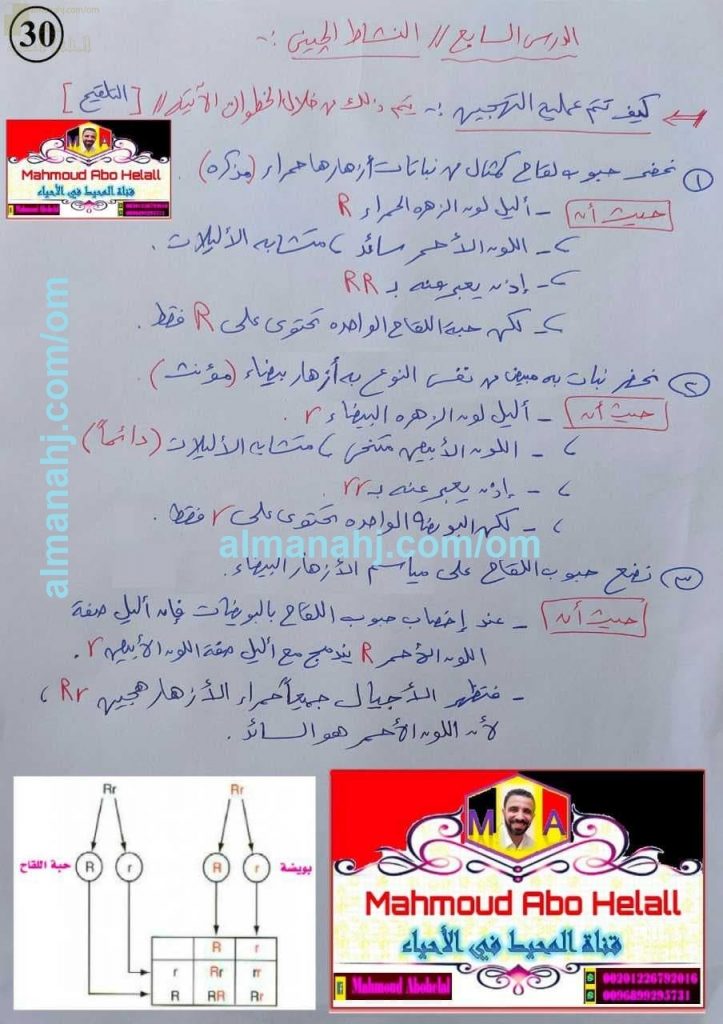 ملخص شرح درس النشاط الجيني مع صور توضيحية ومخططات (علوم وبيئة) الثاني عشر