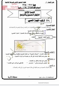 ملخص الفصل الثاني الجهاز العصبي والحواس مقرر حيا 211 ومقرر حيا 215