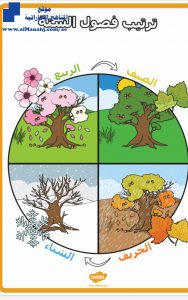 ورقة عمل ترتيب فصول السنة, (علوم) KG1