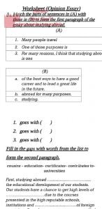 Worksheet opinion essay