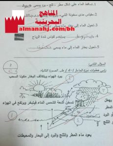 نشاط تقويمي (علوم) الثاني