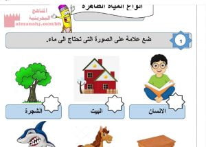 ورقة عمل أنواع المياه الطاهرة(وحدة العبادات) (لغة عربية) الأول