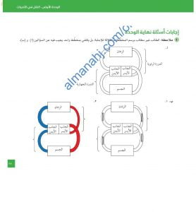 مذكرة حل أسئلة الوحدة الأولى (النقل في الثدييات) (أحياء) العاشر