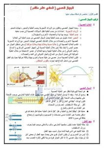 تلخيص الدرس الأول والثاني (الجهاز العصبي), (علوم) الحادي عشر المتقدم