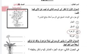نشاط تقويمي محلول (علوم) الرابع