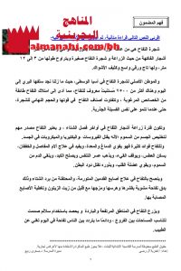 أنشطة مراجعة