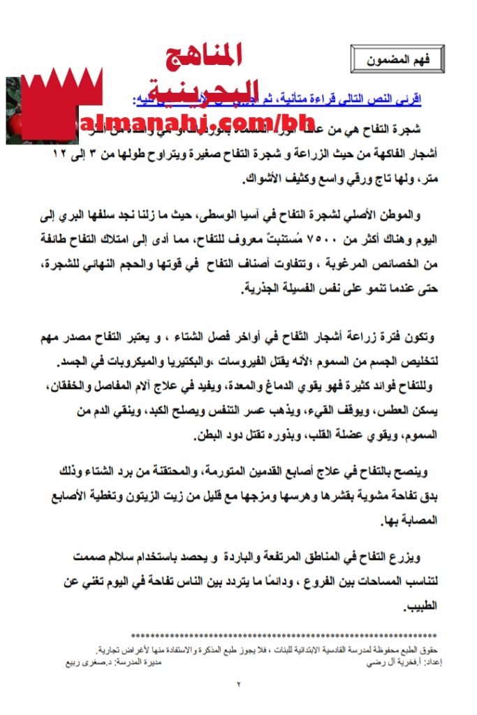 أنشطة مراجعة