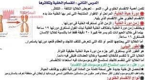 شرح درس انقسام الخلية