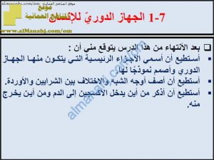 ملخص شرح درس الجهاز الدوري في الإنسان مع حل الأنشطة (علوم) الثامن