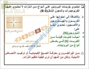 ملخص شرح درس البروتينات مع حل الأنشطة (أحياء) التاسع