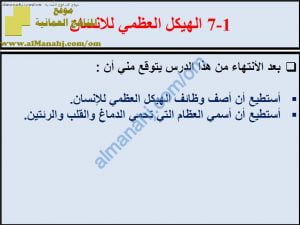 ملخص شرح درس الهيكل العظمي للإنسان مع حل الأنشطة (علوم) السابع