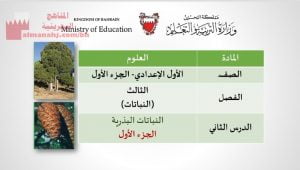 عرض بوربوينت لدرس النباتات البذرية الجزء الأوّل