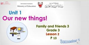 Our new things family and friends lesson 2 PowerPoint presentation