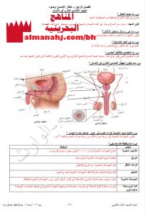 مذكرة أسئلة وأجوبة الفصل 4 حيا 102 (علوم) الأول الثانوي