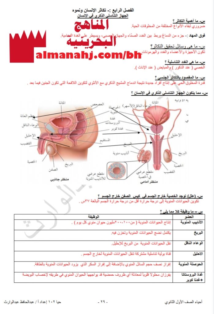 مذكرة أسئلة وأجوبة الفصل 4 حيا 102 (علوم) الأول الثانوي