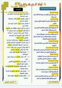 مراجعة الدراسات الاجتماعية