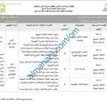 الخطة الفصلية لنظام التعليم المباشر (اجتماعيات) السادس