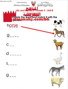 اختبار الوحدة الثامنة