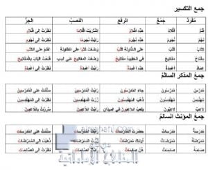 أمثلة على درس جمع التكسير وجمع المذكر السالم وجمع المؤنث السالم, (لغة عربية) السادس