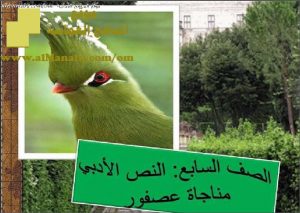 ملخص شرح درس مناجات عصفور (لغة عربية) السابع