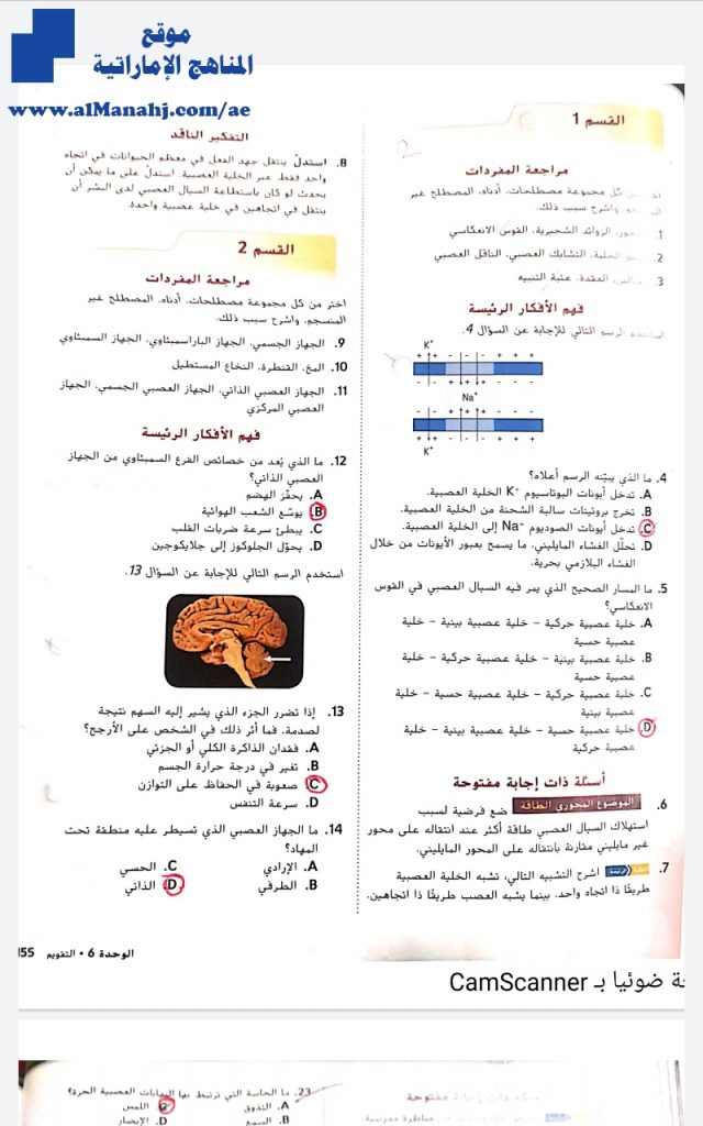 أوراق عمل الوحدة السادسة تدريب على الاختبار المعياري, (علوم) العاشر العام