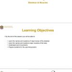 مراجعة شامة للفصل الثاني, (تربية بدنية) الثاني عشر