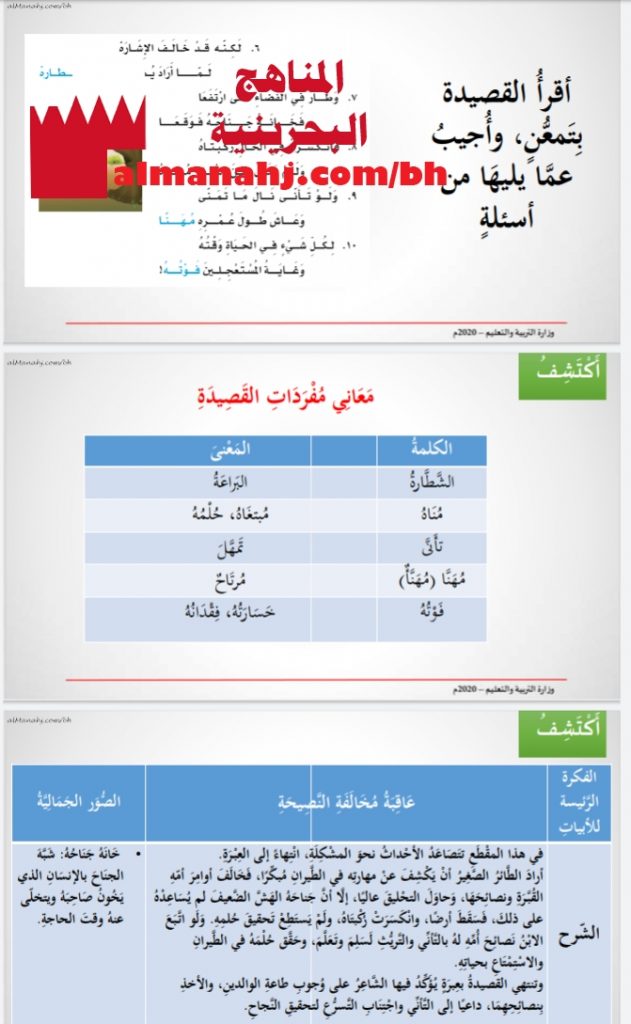 درس القبرة وابنها 2