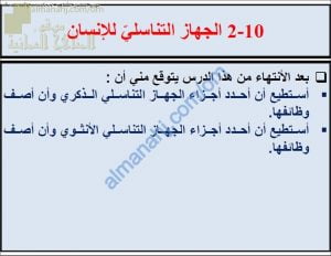 ملخص شرح درس الجهاز التناسلي للإنسان مع حل الأنشطة (علوم) الثامن