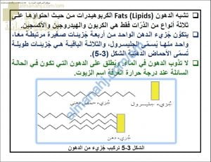 ملخص شرح درس الدهون مع حل الأنشطة (أحياء) التاسع
