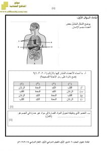 الأسئلة الرسمية للفصل الدراسي الأول الدور الأول (علوم) السادس