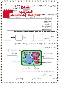 ملخص وأسئلة مراجعة لدروس المنتصف (علوم) السادس