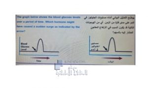 نموزج اجابة لنهاية الفصل الاول, (علوم) الثاني عشر العام