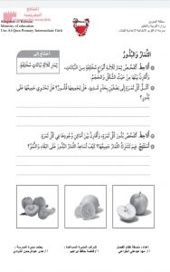 ورقة عمل ونشاط حول البذور (علوم) الثالث