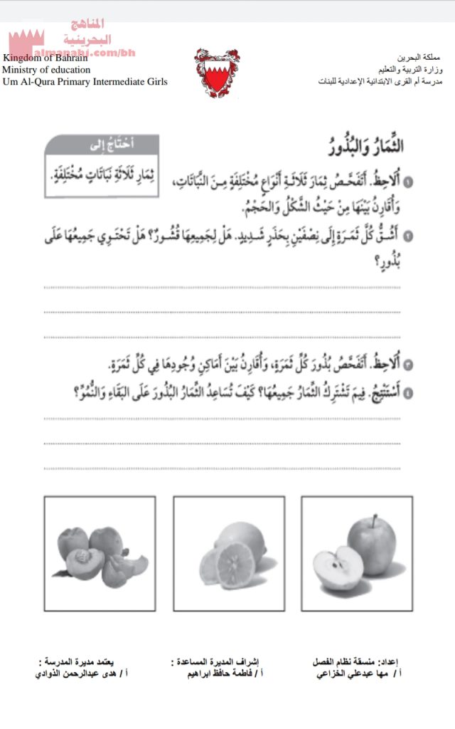 ورقة عمل ونشاط حول البذور (علوم) الثالث