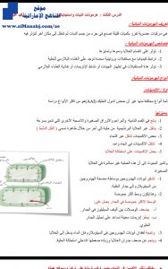 الدرس الثالث هرمونات النباتات واستجاباتها, (علوم) الحادي عشر المتقدم
