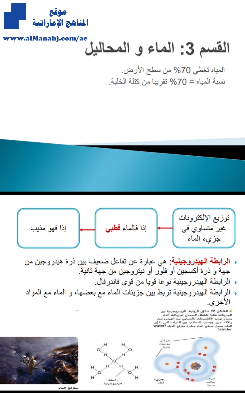 شرح كافي عن الماء والتحاليل, (علوم) الثاني عشر العام
