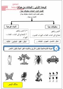 ملخص الفصل الأول النباتات مخلوقات حية (علوم) الأول