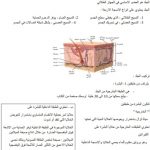 تلخيص الجهاز الغشائي, (علوم) الثاني عشر العام