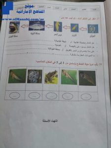 امتحان نهاية الفصل الأول, (علوم) الثاني